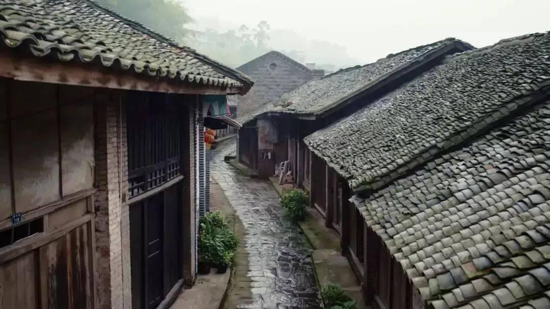 眼镜妞之奇幻冒险